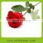 Exotic Red Rose on sale