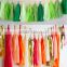 Tissue Paper Tassel Garland for wedding/party/birthday decoration/Paper pom poms