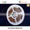 2835 RGB/ Silicone Casing waterproof flexible led strip light waterproof