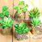 China Manufacturing Plants Decorative Artificial cactus/artificial succulent plant For Sale