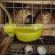 Q235 galvanized stainless steel quail wire cage