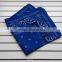 Classic kidneys blue bandanas