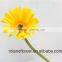 Low Price And Best Quality Fresh Gerbera Fresh Cut Flowers For Wedding - Sunshine Coast