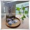 2016 New Type Organic Anxi Healthy Moringa Gaba Tea