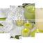 Feng Shui Wall Decor Inkjet Digital Print Canvas Services
