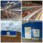 chicken cages for layers or broilers