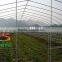Single span vegetable greenhouse without gutter