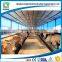 light steel structure cattle shed