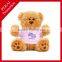 OEM designs high quality SGS tested Plush toys