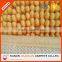 short pile microfiber chenille bath carpet