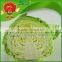 Grade A fresh green cabbage for sale