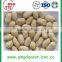 China best quality groundnut peeled