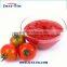 canned tomato paste of brix 28-30% and 22-24% with 70g/198g/210g/400g/800g/850g/2.2kg/3KG/4.5KG