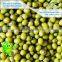 2015 Chinese New Crop Green Mung Bean,Green Mung Bean Seed