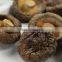 Factory Direct Sale Export Mushroom Price Dried Shitake
