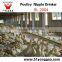 High Quality Customized broiler Automatic Watering System for Poultry Farming Equipment
