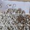 Granular simple super phosphate SSP superphosphate P2O5 18 fertilizer