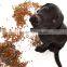 pet food process line
