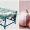 Garlic /Vegetable and Fruit Cleaning and Grading/Sorting machine