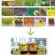 biodiesel EN14241 from 5tons to 100tons biodiesel machine