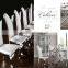Glass Top Stainless Steel Base Dining Table and Chair AH126