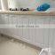 Customized thermoforming ABS Door