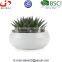Decorative Display Bowl Round White/green Ceramic Succulent Plant Flower Planter Pot