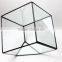 Modern Planter for Indoor Gardening Geometric Handmade Glass Terrarium