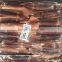 frozen illex argentinus squid for sale