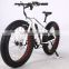 New design electric e bike 36V 10 AH battery 26 inch fat electric bike