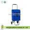 Hot Sell Foldable Shopping Trolley Bag Trolley Storage Bag