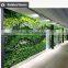 Indoor plastic plant walls artificial green wall artificial plant walls