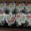 Cavas Print label for Garment label Self Adhesive Printing label