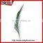 Wedding Dresses Decoration Indian Wholesale Natural Peacock Feather