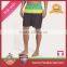OEM 2015 Custom Fashion Mens Swim Board Shorts/mens Swim Shorts