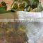China supplier anti insect net UV treated 50 mesh