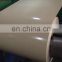 Ral Color Printing Galvanised Steel Coil/Color Coated Steel Roll/PPGI