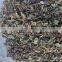 Fine Grade Eclipta Alba Powder Sale And Export