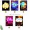 Holiday Outdoor 100 LED String Lights Wedding Party Decorations Garland Lighting Christmas light