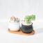 Succulent flower pots black and white round belly-shaped indoor ceramic flower pots