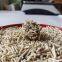 Quick caking bentonite cat litter