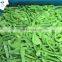 Sinocharm Frozen vegetable  BRC A approved IQF Frozen Green Chilli Ring