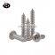 Stainless Steel Cross Pan Head High Quality Self Tapping Screws Bolts