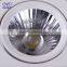 Busniess Building Used COB LED Recessed Down Light