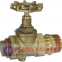 Drain valve with sampler for oil immersed transformer