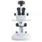 zoom Stereo Microscope with LED light 5M camera