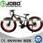 2016 Most Eco CE EN15194 Approved Fat Bike Electric / Fat Bike 26 inch E-bike