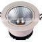 EverExceed 3W ~ 20W COB LED Down Light with Integration design