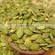 peanuts Shine Skin Pumpkin Seeds Kernels
