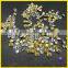 China wholesale white glass point back rhinestone chaton for girl dresses